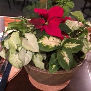 Meet your Posher, Jan